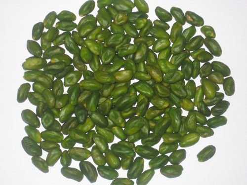 Green kernel Pistachio